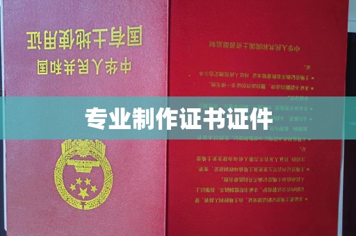 岳塘专业制作证书证件
