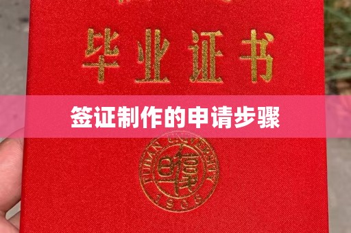 长丰签证制作的申请步骤